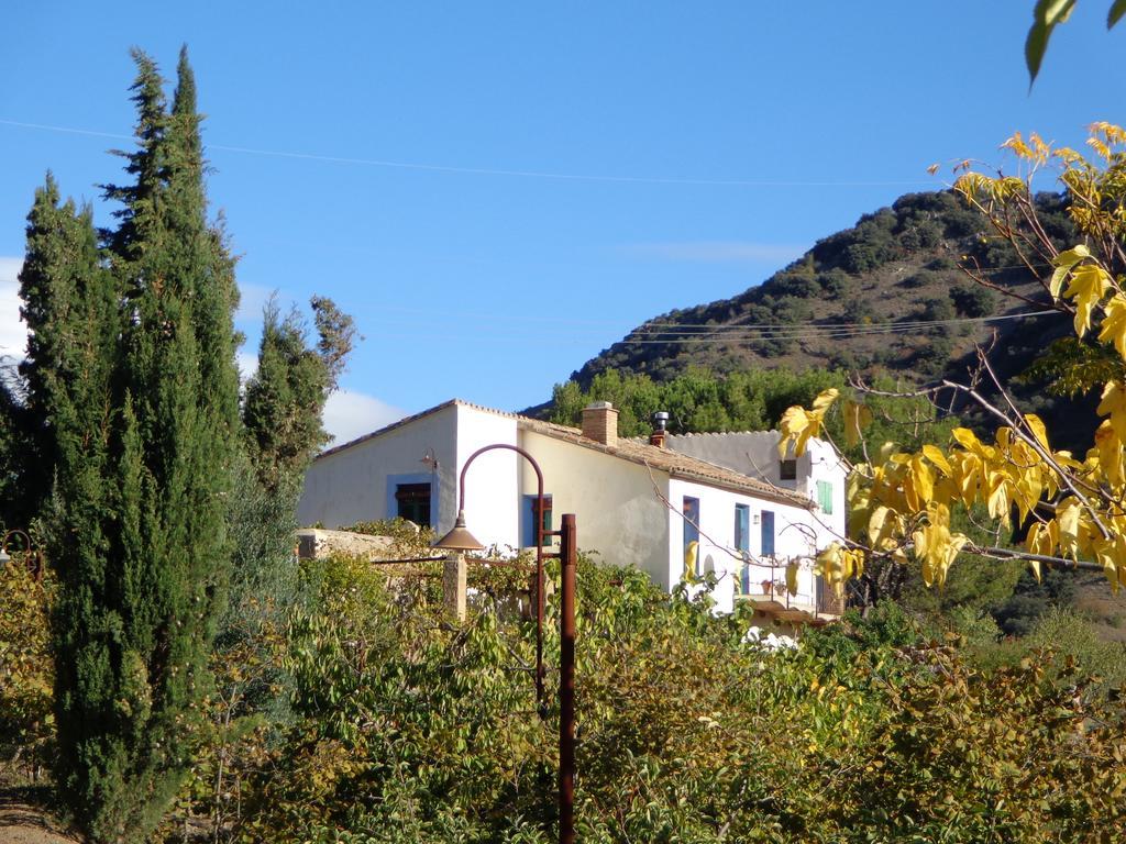 Mas Ardevol Pt106 ξενώνας Porrera Εξωτερικό φωτογραφία